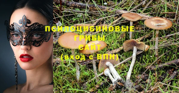 мяу мяу мука Магас