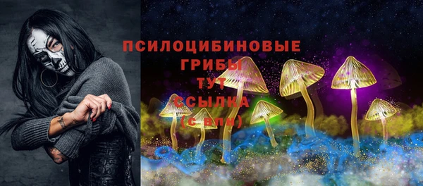 соль курить ск Медногорск