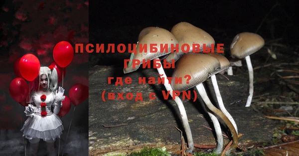 гидра Магадан