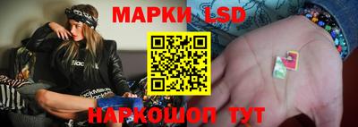 2c-b Камышлов