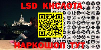 2c-b Камышлов