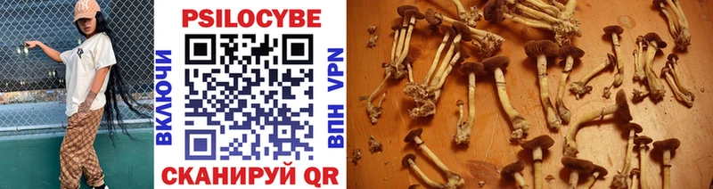 Галлюциногенные грибы ЛСД  omg онион  Мелеуз  наркошоп 