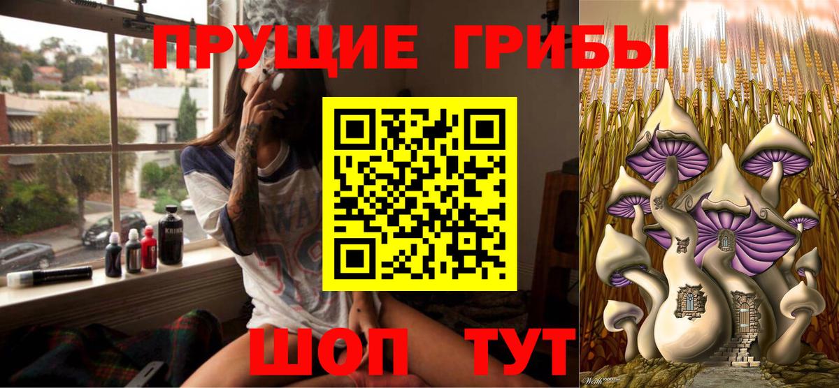 Псилоцибиновые грибы мицелий Мелеуз