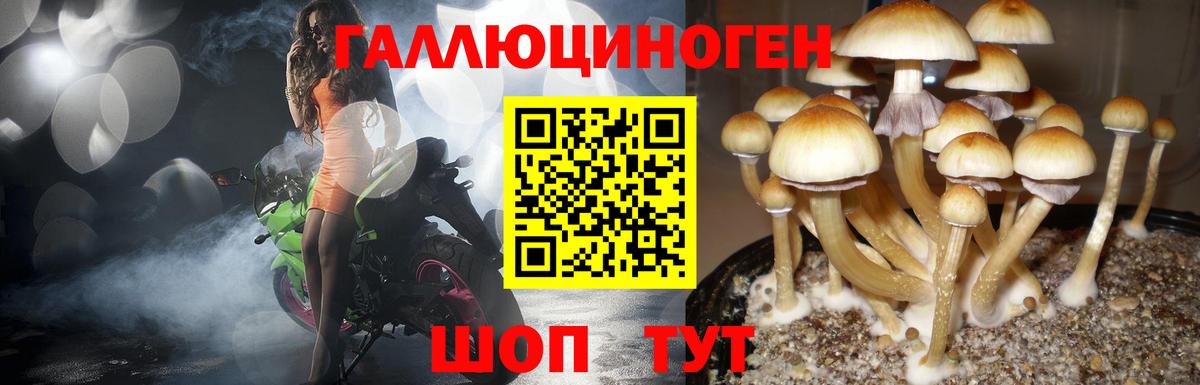 Галлюциногенные грибы мицелий  Галлюциногенные грибы Psilocybe  Вход с VPN  Мелеуз 